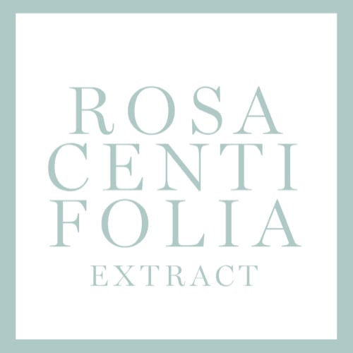 Lancome ingredient Rosa Centifolia extract